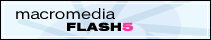 Download Flash Plugin